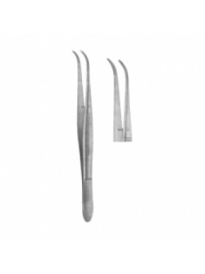 Dental Tweezers